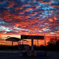 IMG_0297